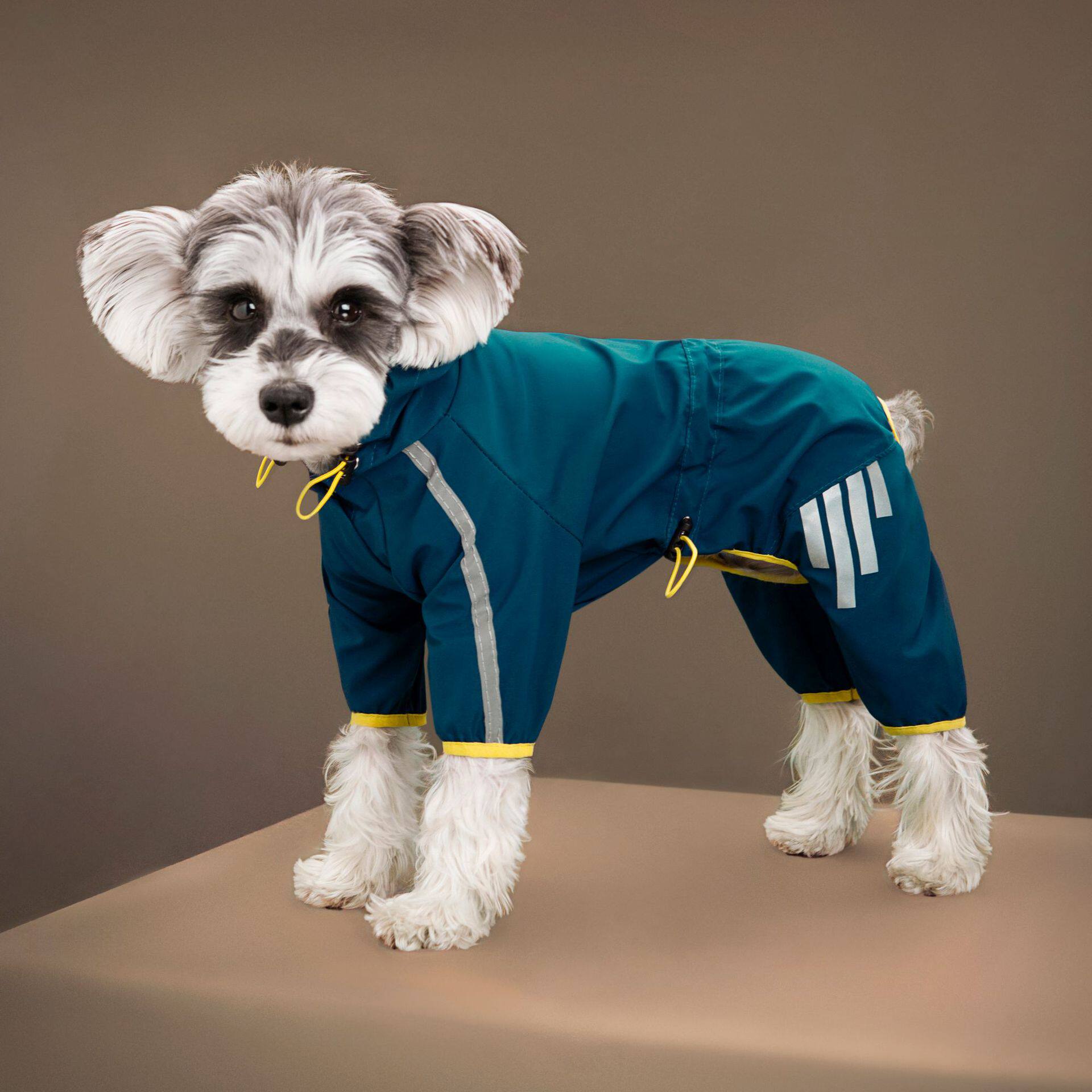 宠物猫狗雨衣用品全包四