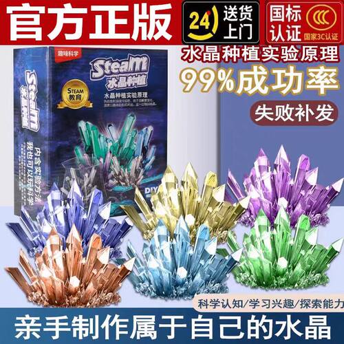 儿童水晶种植实验套装DIY晶体