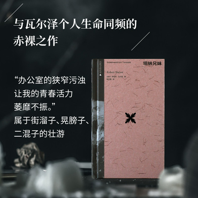 坦纳兄妹     罗伯特·瓦尔泽中短篇小说