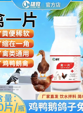 禽一片鸡鸭鹅禽类鸡呼吸道肠道怪叫粪便异常稀便闭目鸡温养鸡专用
