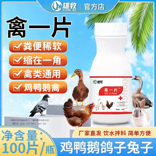 禽一片鸡鸭鹅禽类鸡呼吸道肠道怪叫粪便异常稀便闭目鸡温养鸡专用