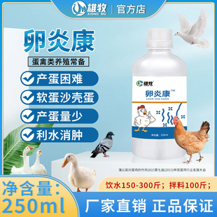 鸽子卵炎康蛋禽输卵管炎鸡鸭鹅鹌鹑畸形软壳蛋沙皮蛋腹膜炎出血蛋