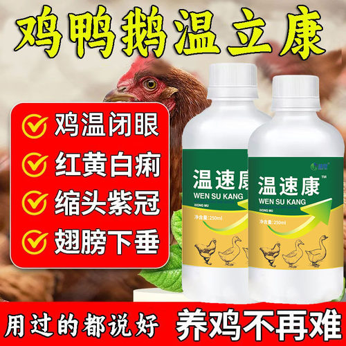 雄牧温立康养鸡专用禽缩头呼噜精神不振羽毛松散呆头不食闭眼鸡温