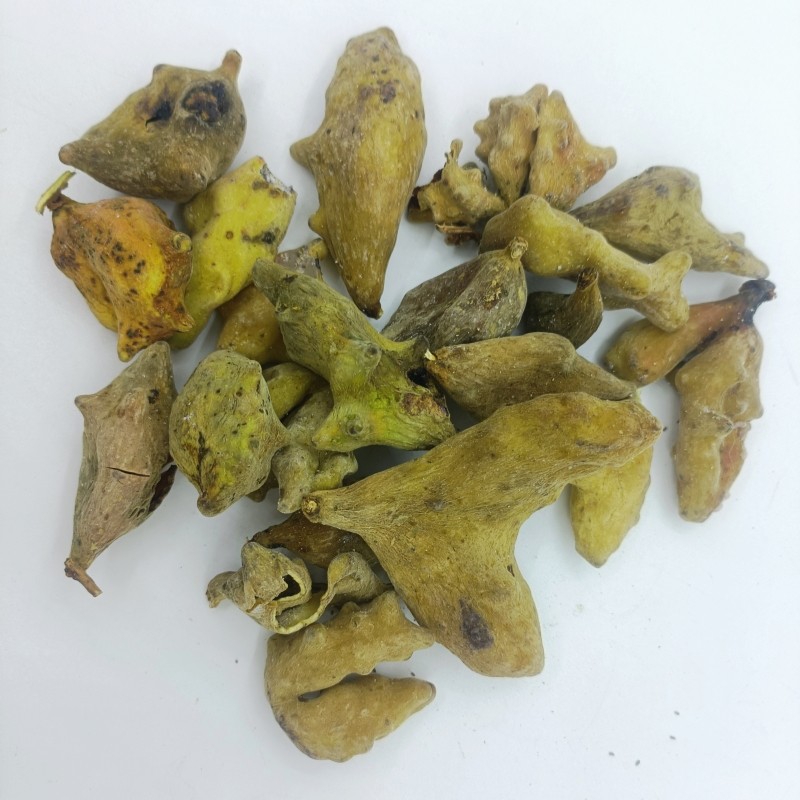 贵州中药材五倍子旱倍子乌盐泡五倍五棓角倍肚倍百草虫精选无硫