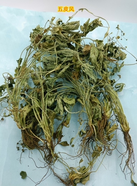 贵州中草药干五皮风蛇含草五爪龙五皮草干五叶莓委陵菜五叶梅无硫