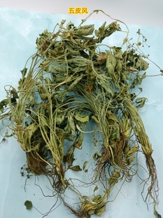 贵州中草药干五皮风蛇含草五爪龙五皮草干五叶莓委陵菜五叶梅无硫