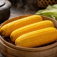 头茬东北黄糯玉米甜糯正宗新玉米棒真空低脂早餐新鲜蒸煮直发