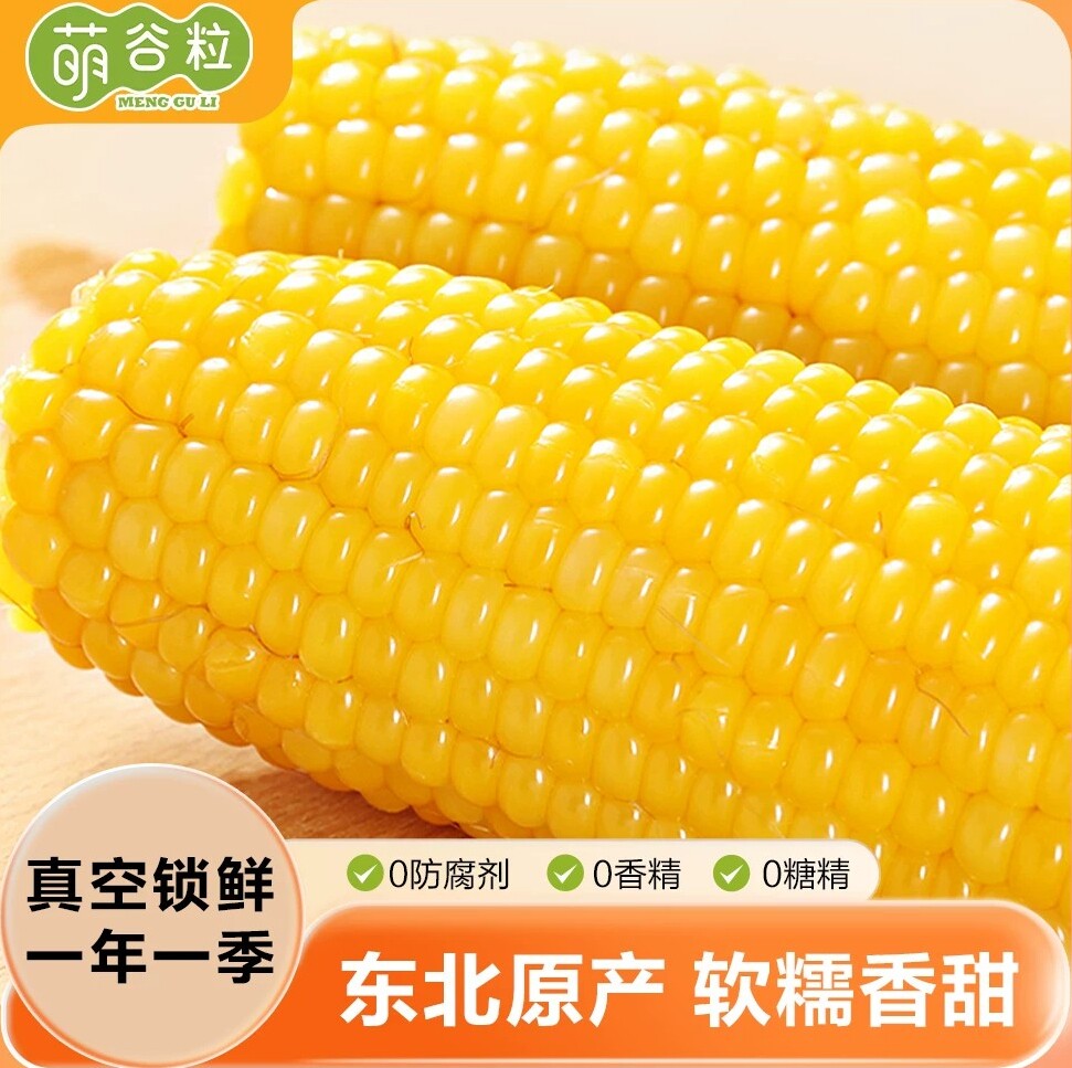萌谷粒东北玉米新鲜糯玉米黄糯甜糯玉米棒非即食黏苞米真空包装
