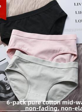 6Pack Women's Sexy Underwear -Lace Band Cotton Thong Pan