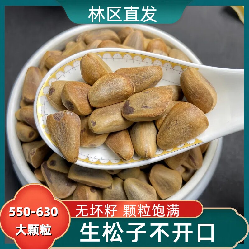 2025新货东北松子 生松子未开口原味坚果特大颗粒松子特大东北