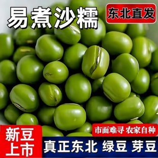 东北笨绿豆农家自产传统老品种绿豆新豆五谷杂粮 煲汤煮粥发芽
