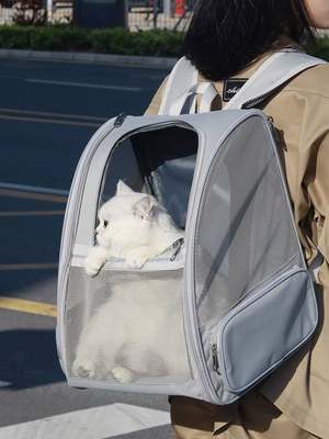定制猫包外出便携包猫背包夏天双肩透气宠物出行携带猫咪大容量