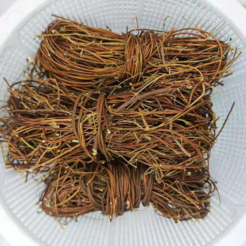 好鸡骨草 广西鸡骨草叶大黄草根 酒店煲汤料 材