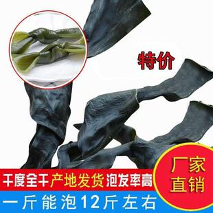 无盐海带结无沙免洗火锅麻辣烫东关煮烘干厚扣福建干货商用风干