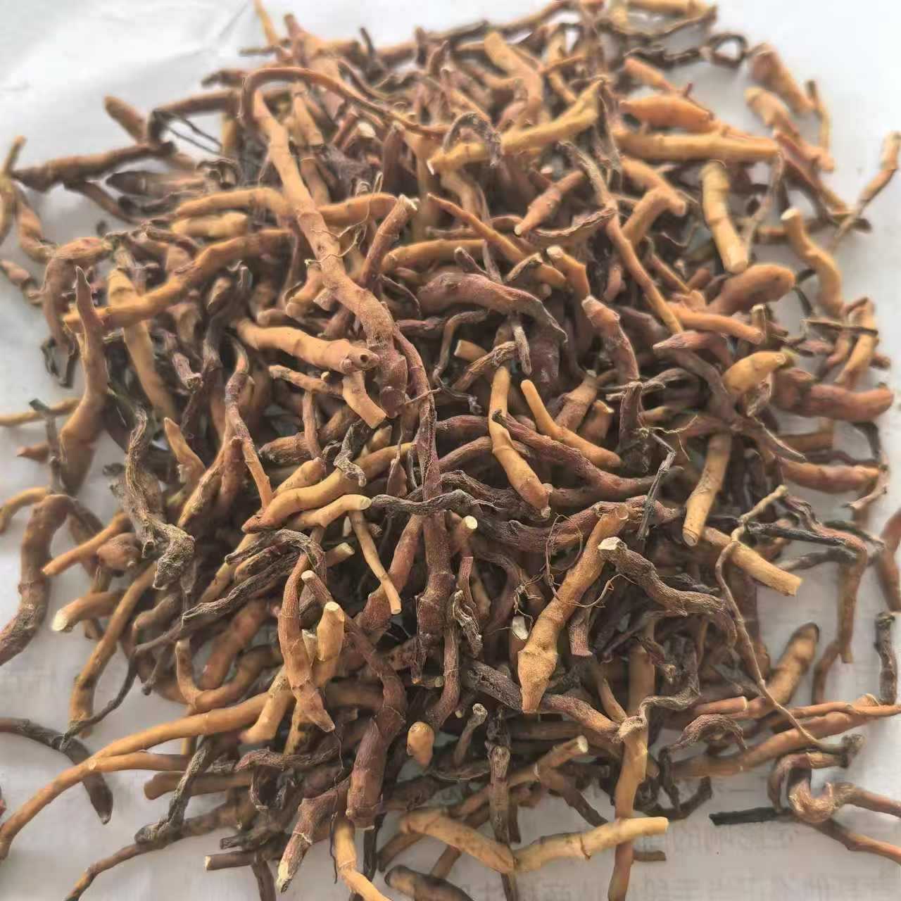 川菖蒲 九节菖蒲 石菖蒲 材 广东省公司 1000g克