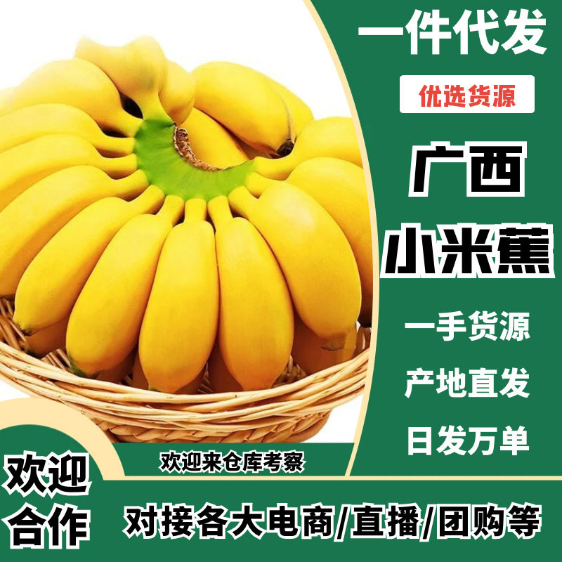 广西小米蕉香蕉批发整箱芭蕉非粉蕉海南皇帝蕉贸易包邮青蕉发货