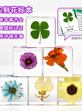 小红书手工滴胶植物方块永生花摆件送朋友礼物文创市集工艺品精致