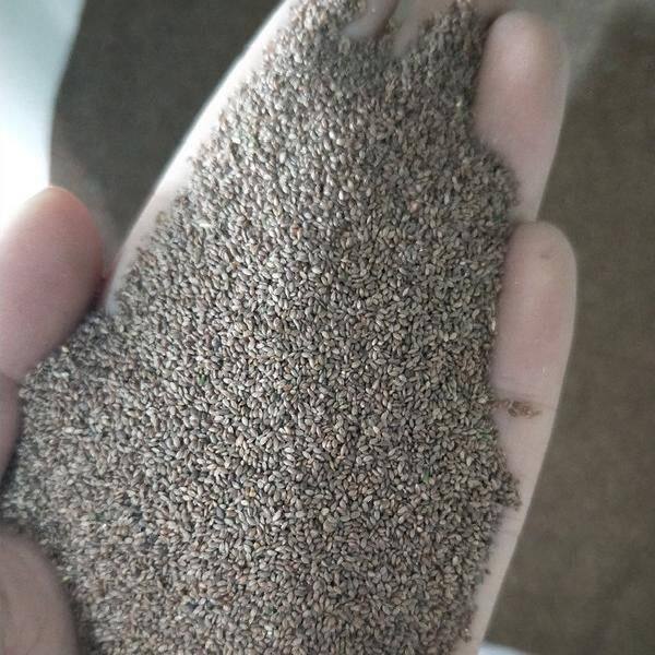 狗牙根草坪种子净种子草籽百慕大狗芽根低矮不用修剪耐践踏批发