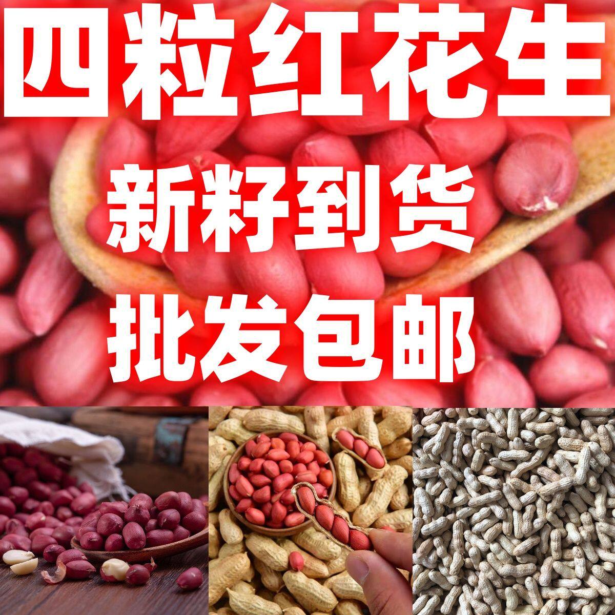 红皮衣生花生米新货生花生带壳新鲜晒干四粒红衣花生种子批发包邮