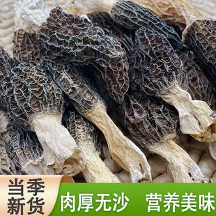 食干货AML羊肚新菌菌100g鲜菇煲汤甘肃特产品（电网帮扶产品）