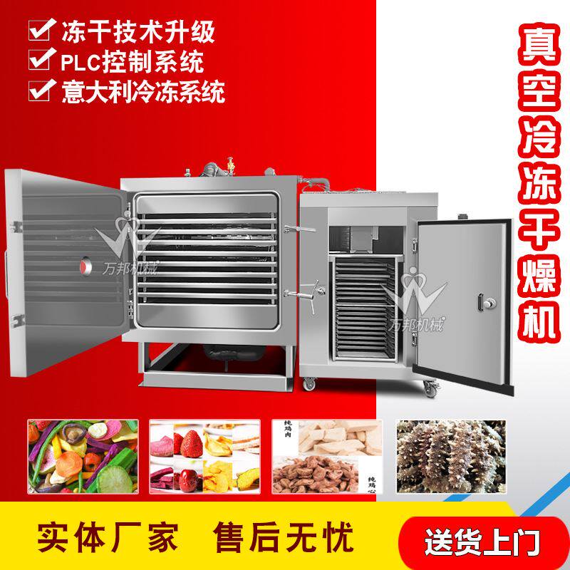 现货低温冷冻干燥设备 大型菠萝蜜冻干机 果蔬脆制作香菇冻干机