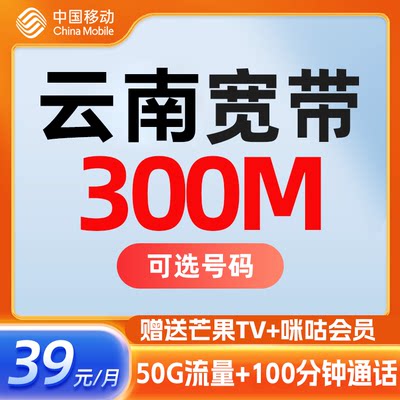 云南昆明大理曲靖红河玉溪楚雄昭通文山保山移动300M宽带办理安装