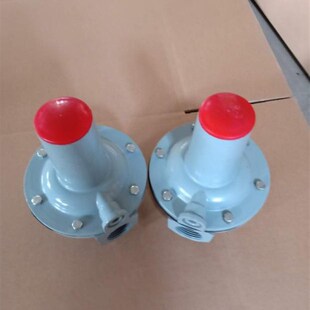 燃气安全放散阀n天然气超压放散阀燃气泄压阀泄气阀