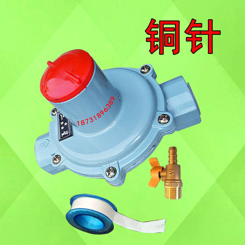 天然气减压阀家用4分DNs15燃气调压器热水器稳压阀 中压入户调压