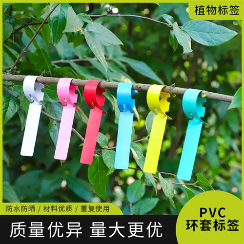 PVC防水环套花卉植物标签苗木园艺标签塑料兰花标签环形扣标记牌