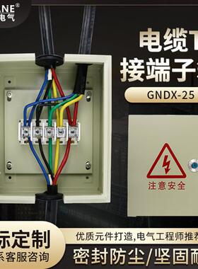 T接端子箱 JXT1电缆T接端子箱 电缆分线箱JXT1-50/35 铜排接线箱