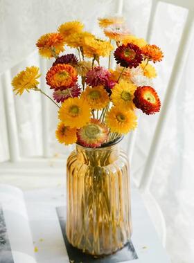 麦秆菊干花花束云南真花风干雏菊ins网红小摆件家居装饰客厅摆设