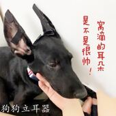 立耳器幼犬小狗耳朵狗狗辅助耳贴杜宾黑狼犬德牧竖耳支架耳朵矫正