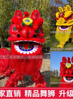舞狮道具南狮醒狮成人双人小狮子舞狮子少儿道具南狮狮子狮鞋整套