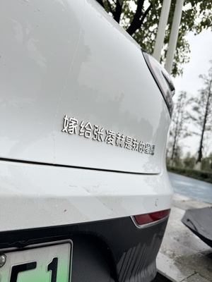 星愿改装嫁给张凌赫我的星愿车尾网红个性搞笑标贴