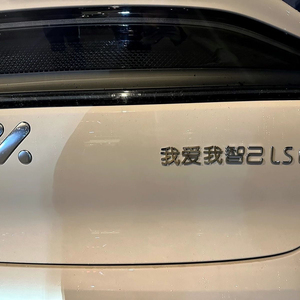 智己LS6车尾贴管好你自己我爱我自己小鹏的理想是蔚来有一台车标