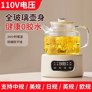 110v养生壶出口美国加拿大日本台小型多功能电陶炉湾家用煮茶器