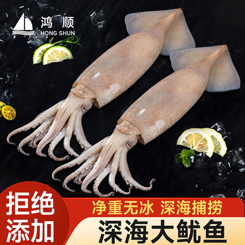 鸿顺深海大鱿鱼整只批发冷冻