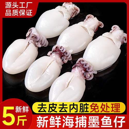 墨鱼仔新鲜冷冻小墨鱼商用批发
