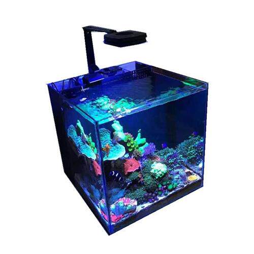 蓝甸小型桌面底滤背滤专业海水缸超白玻璃珊瑚背滤鱼缸底滤鱼缸