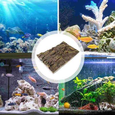 Background Rock Fish Tank Decorations The Animal Reptile