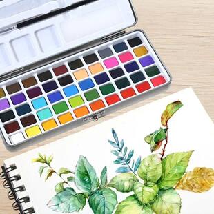 Solid 100 Watercolor Colors Set Pear Metallic Paint