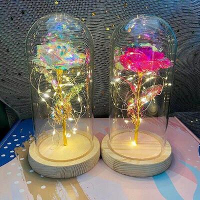 Valentines Day Gift for Girlfriend Eternal Rose LED Light