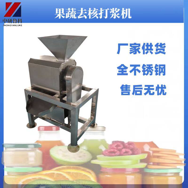 不锈钢食品制浆机 大型酿酒加工设备 现货速发樱桃杨梅去籽打浆机