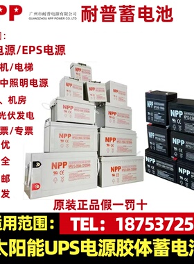NPP耐普蓄电池12V24.65.38.100消防集中电源电梯UPS机房EPS直流屏
