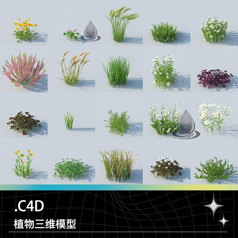 C4D MaxWell植物稻草三叶草甘菊雏菊蒲公英羽毛草石南花草坪模型 商务/设计服务 设计素材/源文件 原图主图