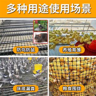 加厚小孔塑料围栏网养殖网防鸟防鼠网育雏漏粪脚垫拦养鸡圈玉米网