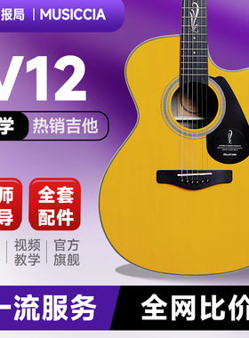 【吉他推荐】brook布洛克布洛克V12/s25吉他初学入门单板吉他现货