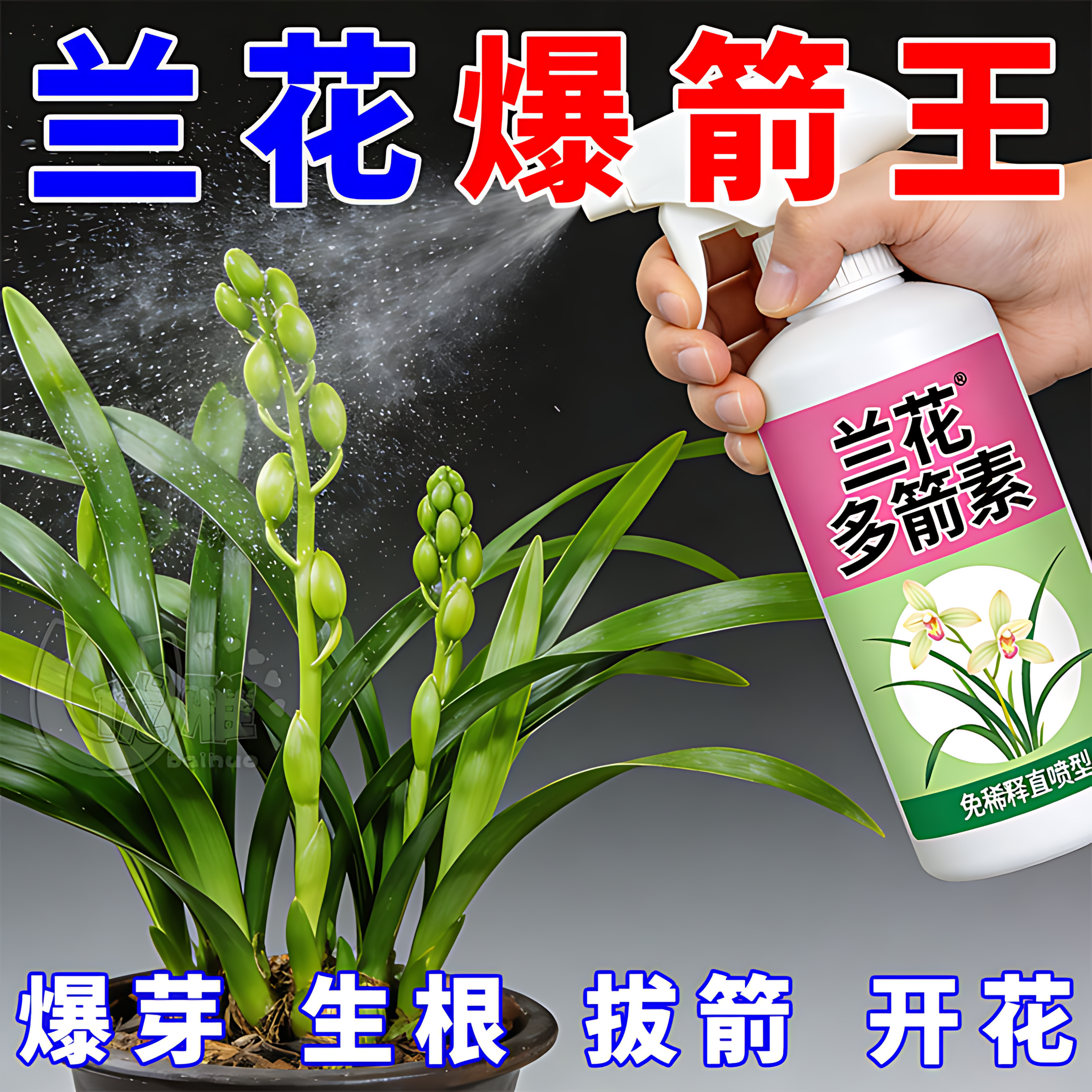 兰花多箭素兰花专用营养液催花延花期治黄叶专用液体肥浓缩,鲜花速递/花卉仿真/绿植园艺,家庭园艺肥料,淘宝优惠券,粉丝福利购,淘宝优惠卷
