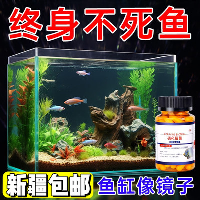 新疆包邮硝化细菌鱼缸用专用胶囊净水剂颗粒活菌干粉水质稳定净化