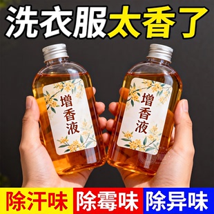 洗衣香精持久留香水洗衣服专用增香液剂拖地室内香味衣物清香空气